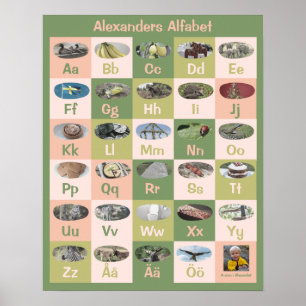 Affiche alphabétique suédoise personnalisable