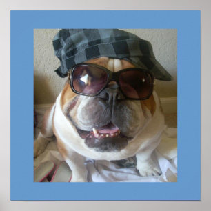 Affiche anglaise drôle de bouledogue