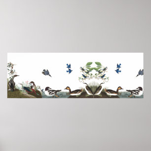 Affiche animale 1 de faune d'oiseaux de collage