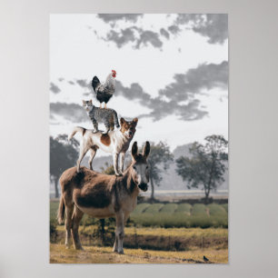 Affiche animale idiote