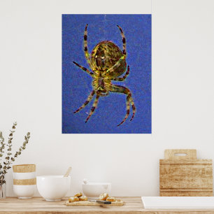 Affiche araignée orbitale