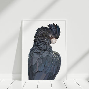 Affiche australienne de Cockatoo Noir à queue roug