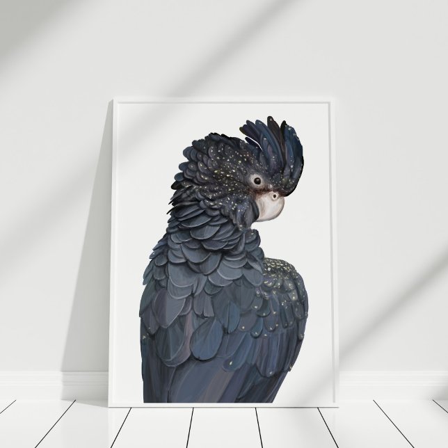 Affiche australienne de Cockatoo Noir à queue roug (Australian Red-Tailed Black Cockatoo Poster in white frame on white wooden floor.)
