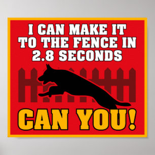 Affiche berger allemande