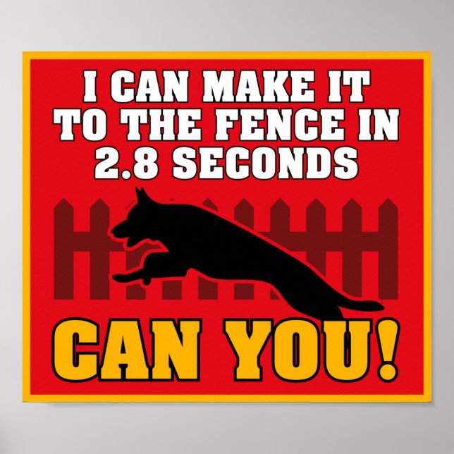 Affiche berger allemande (Devant)