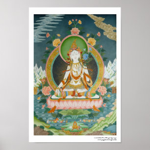 Affiche blanche Tara