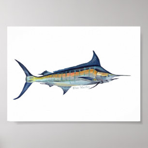 Affiche Blue Marlin