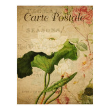 Affiche botanique vintage - Fleur de lotus