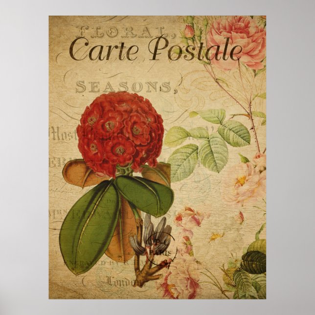 Affiche botanique vintage - Rhododenron (Devant)