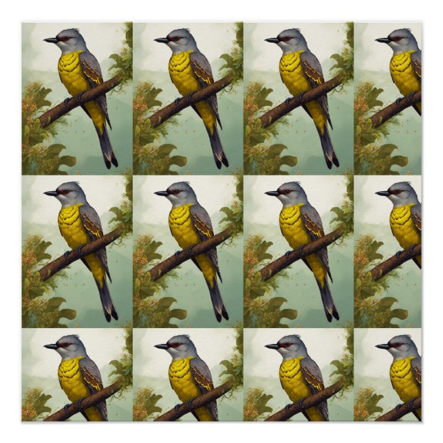 Affiche brillante (Devant)