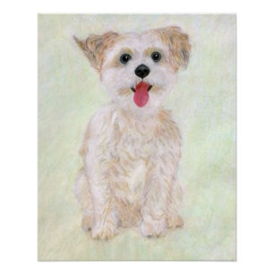 Affiche brillante de chien Morkie