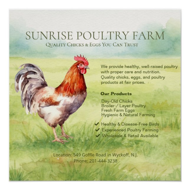 Affiche Brillante de Ferme de Poulets (Devant)