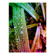 Affiche brillante, gouttes de pluie aux couleurs é