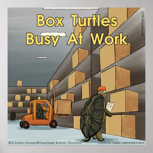 Affiche brillante Tortue Boîte Drôle (Devant)