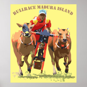 Affiche Bull Race