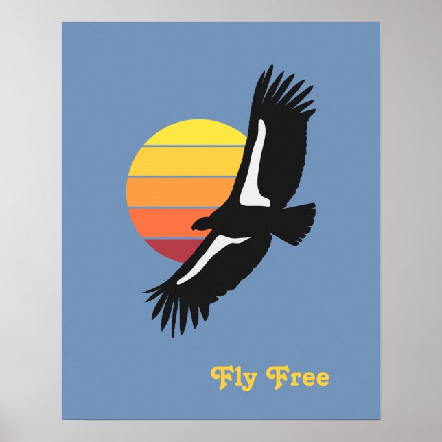 Affiche California Condor (Devant)