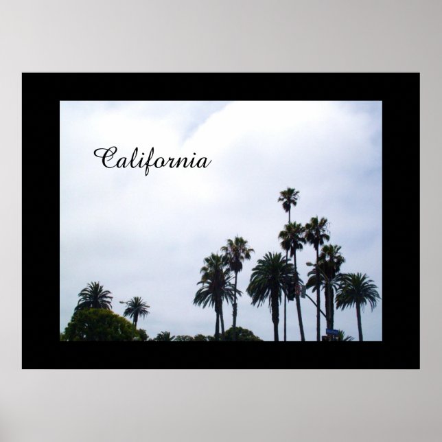 affiche CALIFORNIA PALMS (Devant)