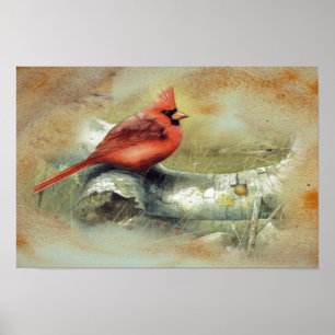 Affiche cardinale