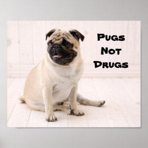 Affiche carlins et non drogues