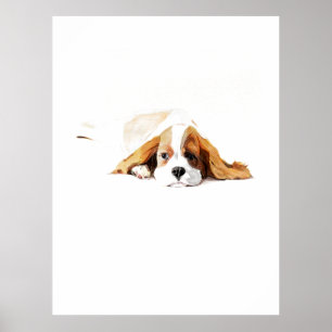 Affiche Cavalier King, Art mural de chien à l'aqua