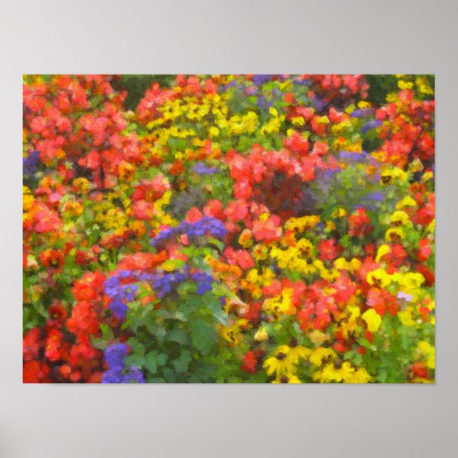 Affiche Champ de Fleurs (Devant)