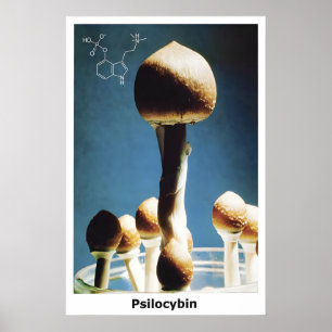 Affiche Champignons Magiques Formule Chimique Psil