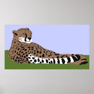 affiche cheetah regardant vers le bas