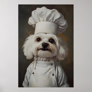 Affiche Chien Maltais en toque de chef, Affiche d'