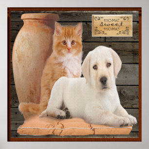affiche chiot et chaton