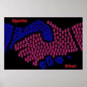 Affiche Contraires S'attirent
