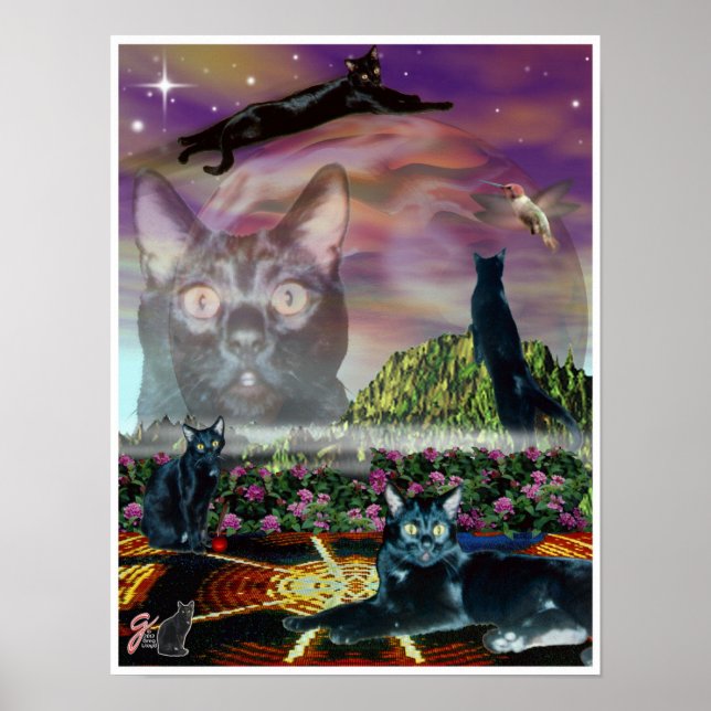 Affiche Cosmos (Devant)