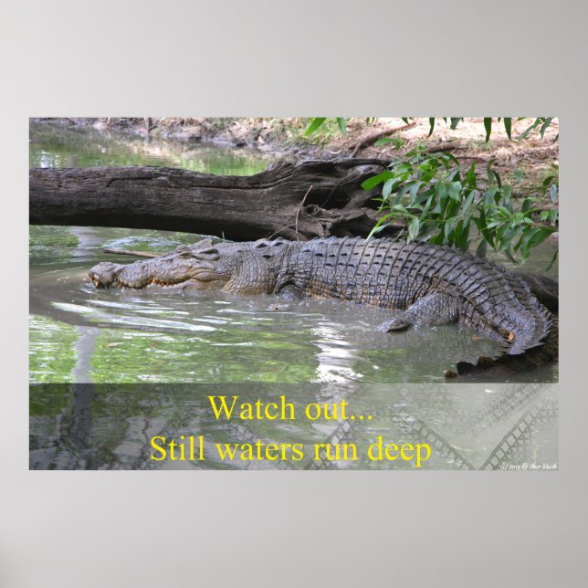 Affiche d'alligator il n'est pire eau que l'eau (Devant)