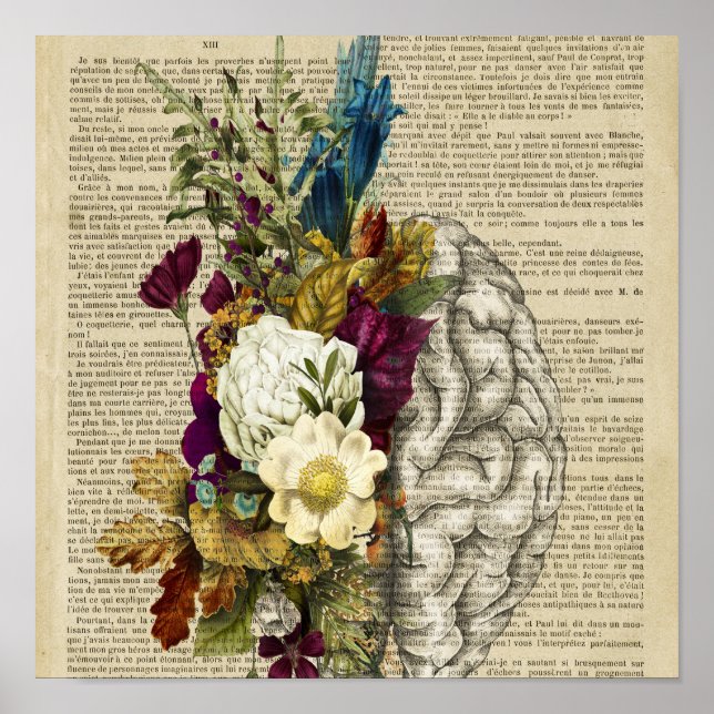 affiche d'anatomie du cerveau floral médical (Devant)