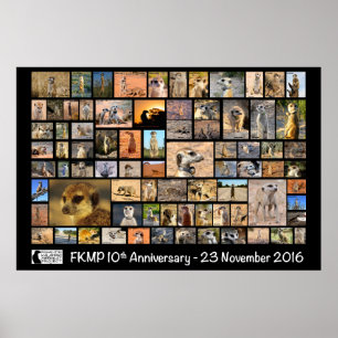 Affiche d'anniversaire de FKMP 10ème - choisissez