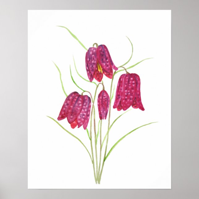 affiche d'aquarelle fritillaire à la tête de serpe (Devant)