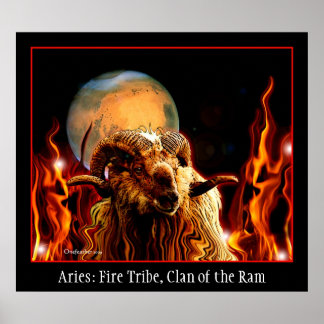 Affiche d'Aries