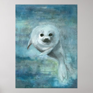 Affiche d'art à l'aquarelle du phoque à capuchon