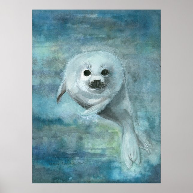 Affiche d'art à l'aquarelle du phoque à capuchon (Devant)