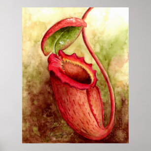 Affiche d'art d'aquarelle de raja de N