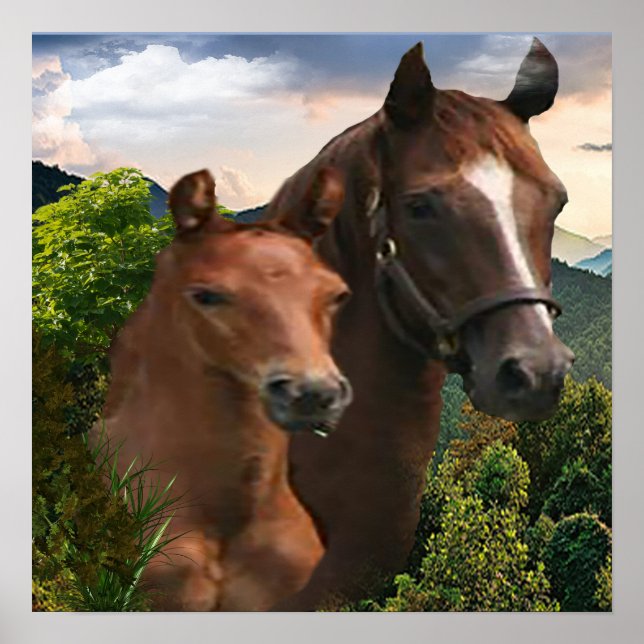 Affiche d'art de cheval (Devant)
