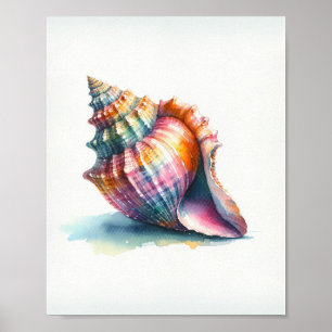 Affiche d'art de coquillages à l'aquarelle