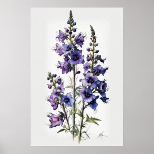Affiche d'art de fleur de pied-d'alouette pourpre