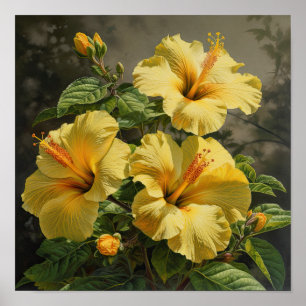 Affiche d'art de fleur d'hibiscus jaune