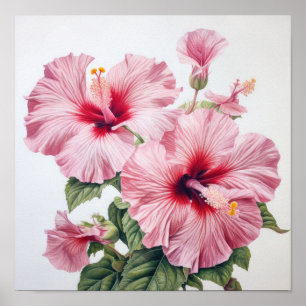 Affiche d'art de fleur d'hibiscus rose