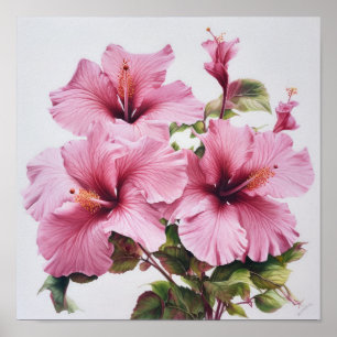 Affiche d'art de fleur d'hibiscus rose