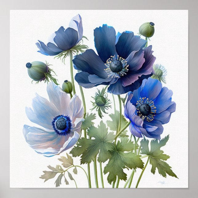 Affiche d'art de fleurs d'anémone bleue (Devant)