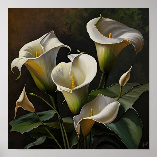 Affiche d'art de fleurs de lys calla blanc (Devant)