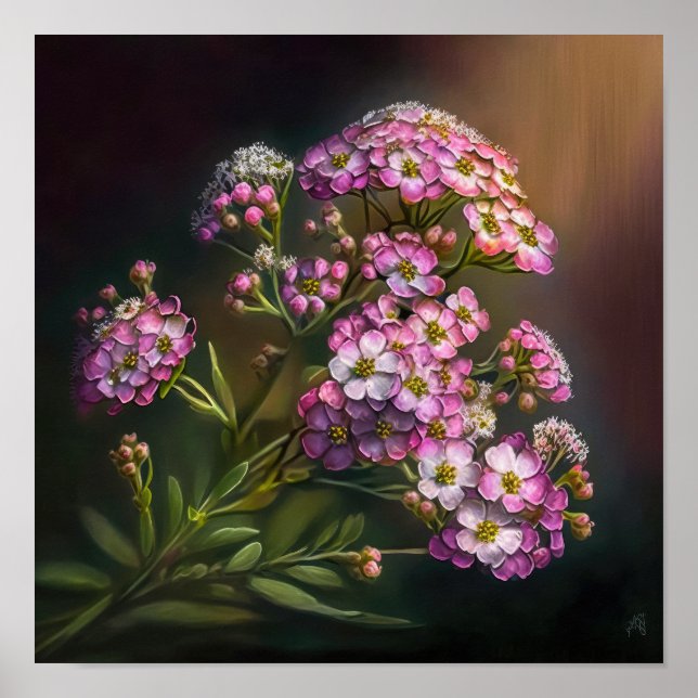 Affiche d'art de la fleur d'alyssum rose (Devant)