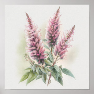 Affiche d'art de la fleur d'Astilbe rose