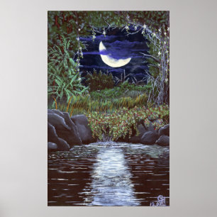Affiche d'art de Moonlight Falls